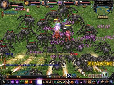 【魔域发布网】魔域公益联动纪录片发布！深入雨林守护亚洲象种群